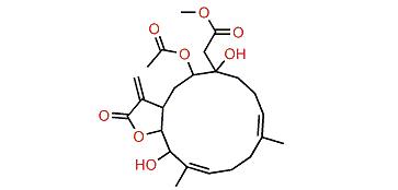 Durumolide G